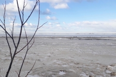 20180316_153732