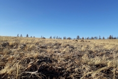 20180416_184555
