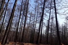 20180424_093924