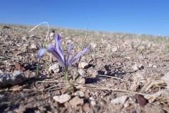 20180505_182654