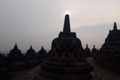 20180517_071905[1]