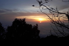 20180519_054541[1]