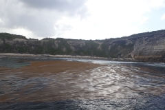 20190324_160627_min