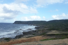 20190324_160752_min