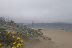 20190601_135458_min